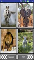 Animals To Know 截图 3