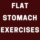 APK FLAT STOMACH EXERCISES