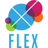 FLEX icône