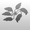 Flocking Tutorial APK