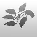 Flocking Tutorial APK