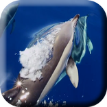 Flock of Dolphins Live Wallpap