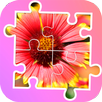Puzzle flores APK