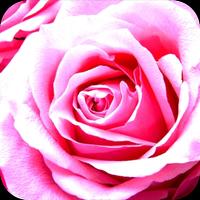 flowers for you poster