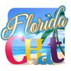 FLORIDA CHAT: MEET FRIENDS APK