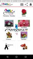 Floristería Afrodita capture d'écran 1