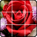 ”Flower games puzzle