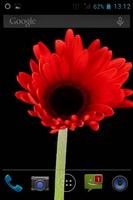 Flower Opening Live Wallpaper اسکرین شاٹ 1