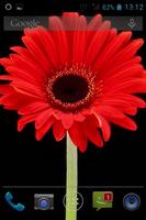 Flower Opening Live Wallpaper اسکرین شاٹ 2
