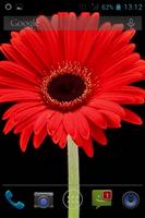 Flower Opening Live Wallpaper اسکرین شاٹ 3