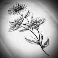 Flower Sketches اسکرین شاٹ 1