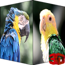 Parrots Live Video LWP APK