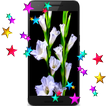 Flowers Live HD Wallpaper