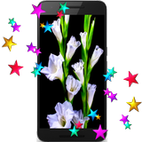 Flowers Live HD Wallpaper icon