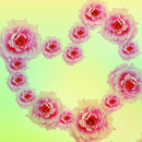 Flower Love Pink heart APK
