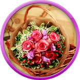 صور ورد طبيعي روعة 2015