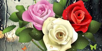 gota Rosas imagem de tela 3