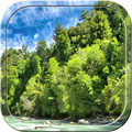 Flowing Brook Live Wallpaper