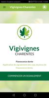 Vigivignes Charentes ポスター