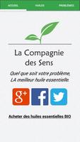 Les huiles essentielles Affiche