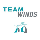 Team Winds icône