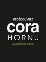 CORA HORNU EXPERIENCE-poster