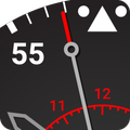 Aviator Timepiece