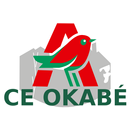 CE AUCHAN OKABE APK