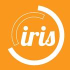 Iris icône