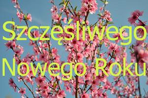 Szczęśliwego Nowego Roku ảnh chụp màn hình 1