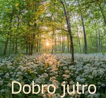 Dobro jutro v.2 скриншот 1