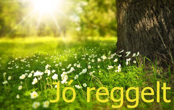 Jo Reggelt V 2 For Android Apk Download
