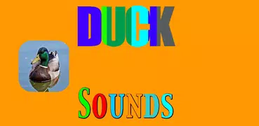 Duck Sounds mp3
