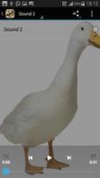 Duck Sounds स्क्रीनशॉट 2