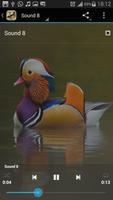 Duck Sounds स्क्रीनशॉट 3