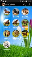 Horse Sounds Plakat