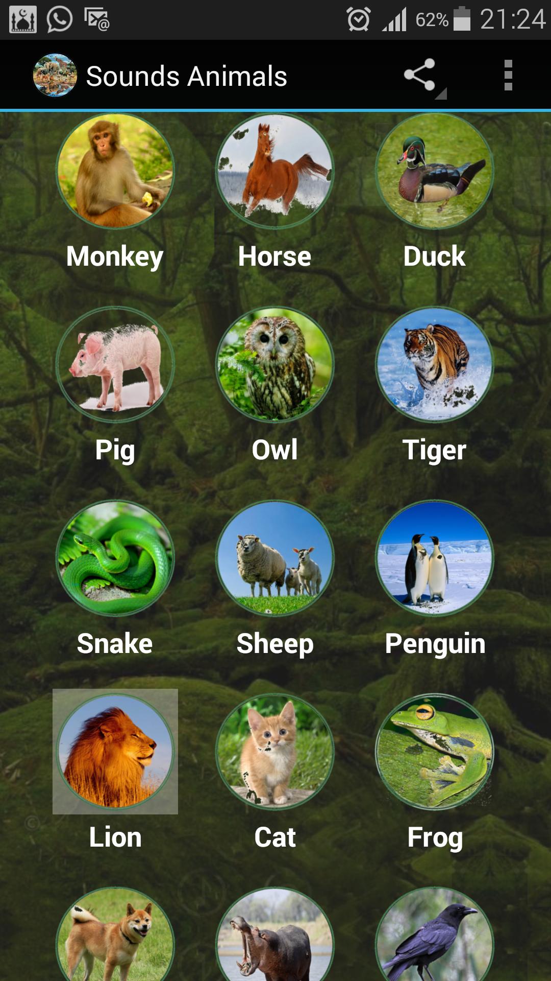 Best Animals Sounds APK for Android Download Best Animals Sounds APK for Android Download