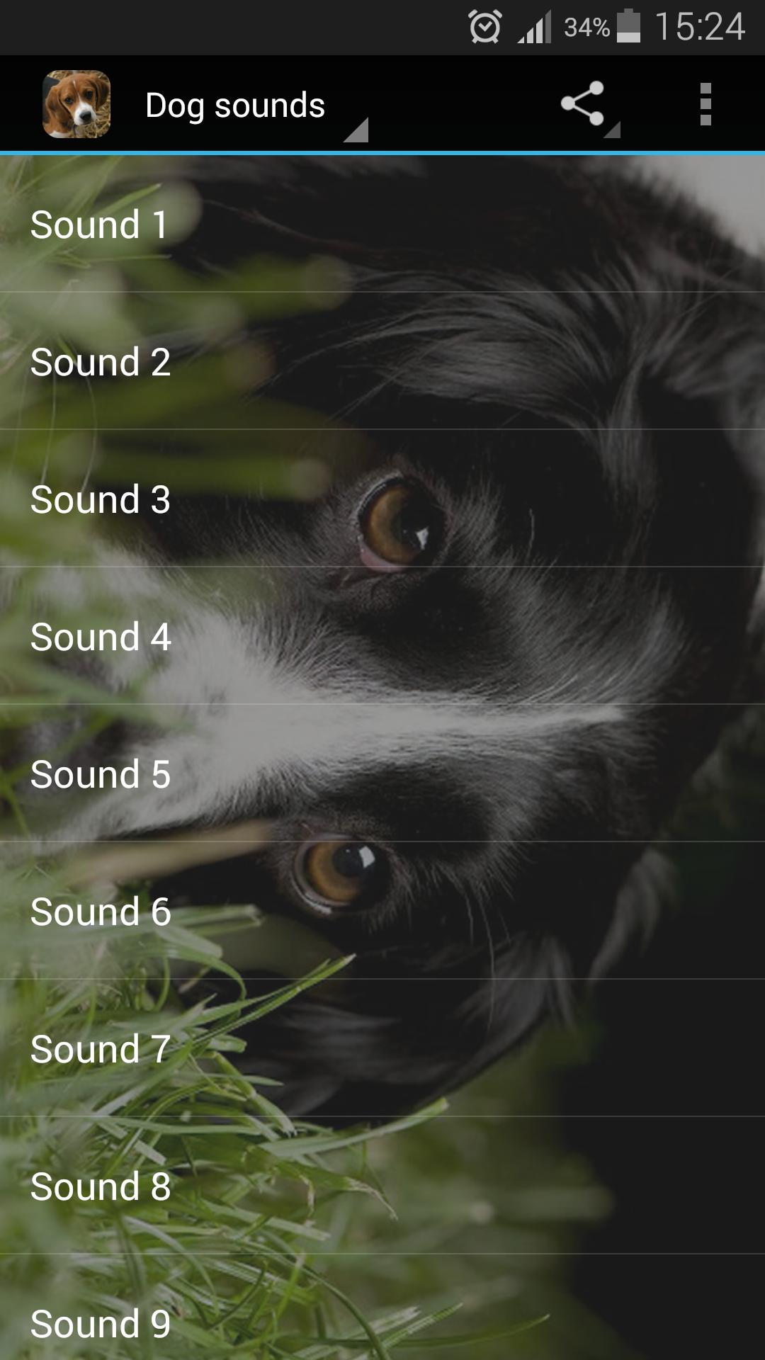 Голосовой собаки. Собачьи звуки. Приложение Dogs. Приложение пес андроид. Голоса собаки звук.