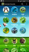 Animal Sounds पोस्टर