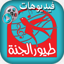 طيور الجنة بدون انترنت فيديو APK