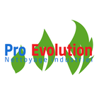 PRO EVOLUTION icono