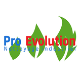 PRO EVOLUTION icône
