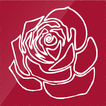 LA BELLA ROSA