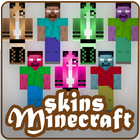 Skins Minecraft 아이콘