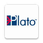 Plato 22 icono