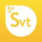 SVT 5e ikon
