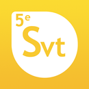 SVT 5e APK