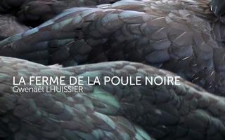 Ferme de la poule noire اسکرین شاٹ 3