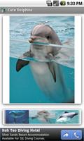 Cute Dolphins capture d'écran 1