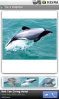 Cute Dolphins capture d'écran 2
